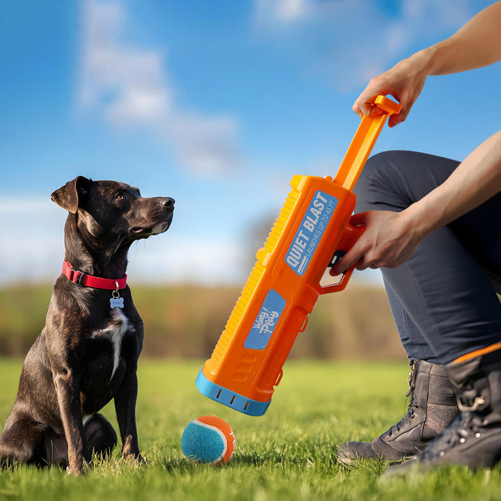 Tennis Ball Launcher for Dogs