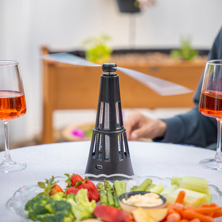 2-in-1 Fly Fan + Zapper (Set of 2)