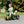 John Deere 3-Wheeled Pedal Tractor With Trailer