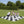 Giant Checker Pieces for Giant Game Board