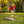 Patriotic Bean Bag Toss 2' x 3'