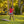 Patriotic Bean Bag Toss 2' x 3'