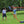 Patriotic Portable Badminton