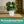 Interactive 4'' Smart Plant Pot with Speaker