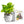 Interactive 4'' Smart Plant Pot with Speaker