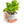 Interactive 4'' Smart Plant Pot with Speaker