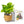 Interactive 4'' Smart Plant Pot with Speaker