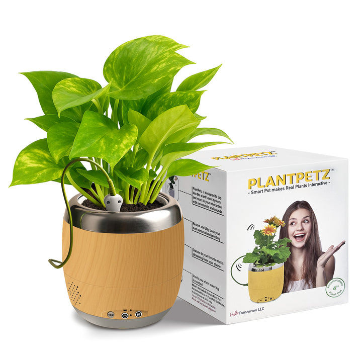 Interactive 4'' Smart Plant Pot with Speaker