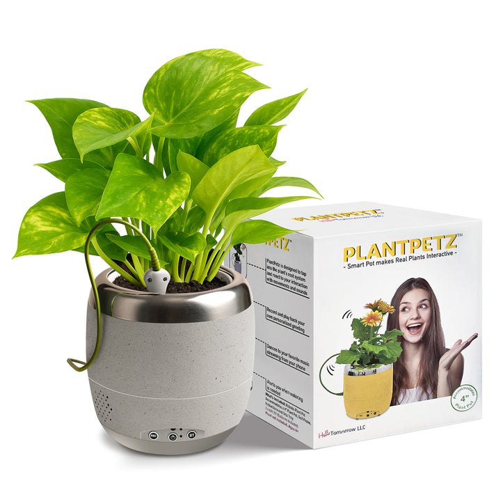 Interactive 4'' Smart Plant Pot with Speaker