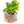 Interactive 4'' Smart Plant Pot with Speaker