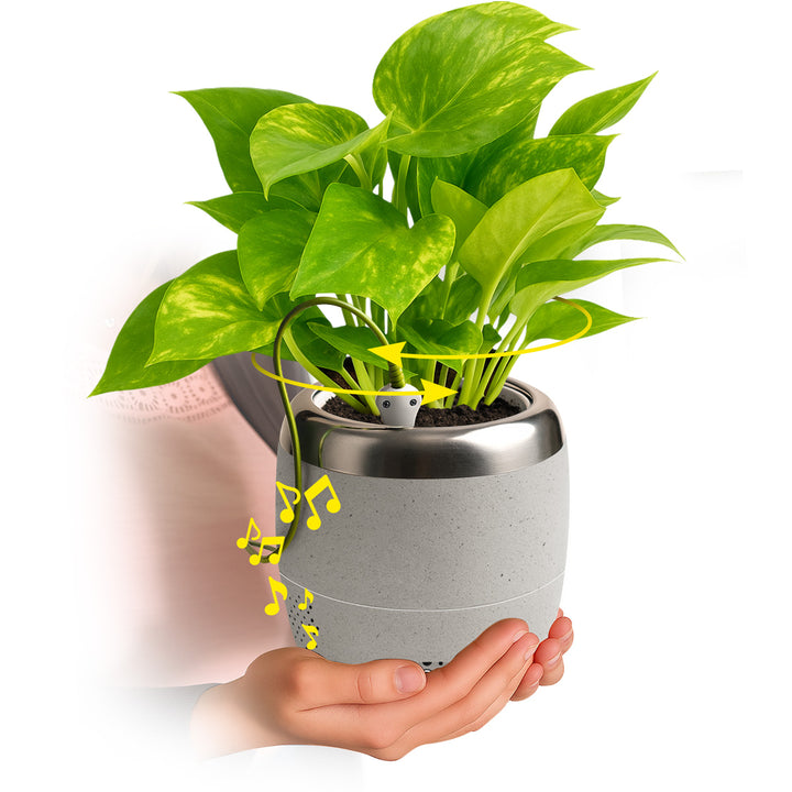Interactive 4'' Smart Plant Pot with Speaker