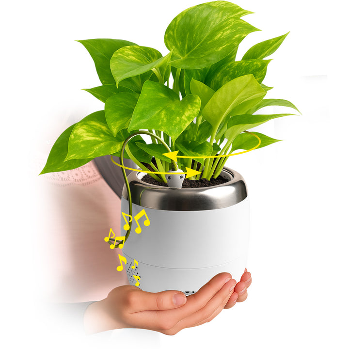 Interactive 6'' Smart Plant Pot with Speaker