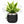 Interactive 6'' Smart Plant Pot with Speaker