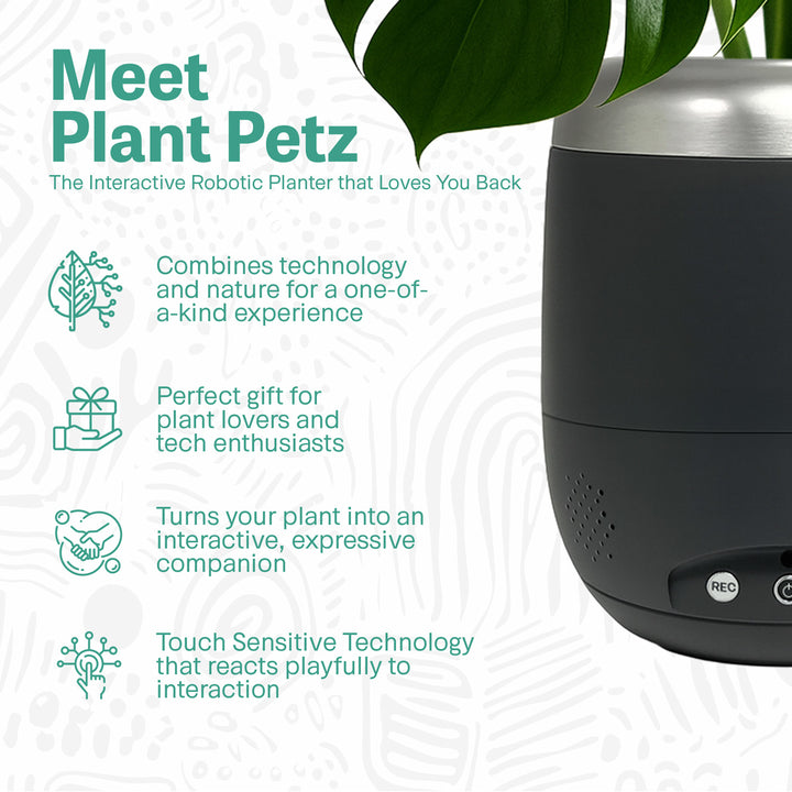 Interactive 6'' Smart Plant Pot with Speaker