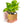 Interactive 6'' Smart Plant Pot with Speaker