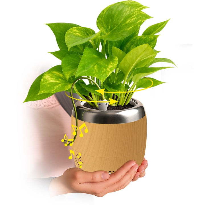Interactive 6'' Smart Plant Pot with Speaker