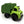 Animated Truck Trio