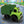 Animated Truck Trio
