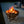 40'' Plancha Fire Pit