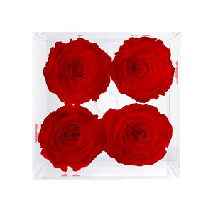 Preserved Roses (4 Stems)