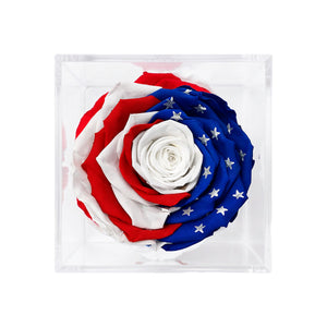 Stemless Patriotic Preserved Rose