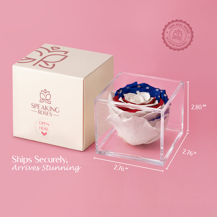 Stemless Patriotic Preserved Rose