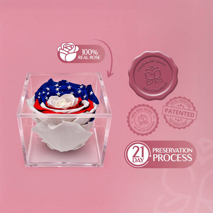 Stemless Patriotic Preserved Rose