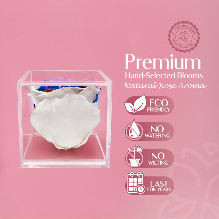 Stemless Patriotic Preserved Rose