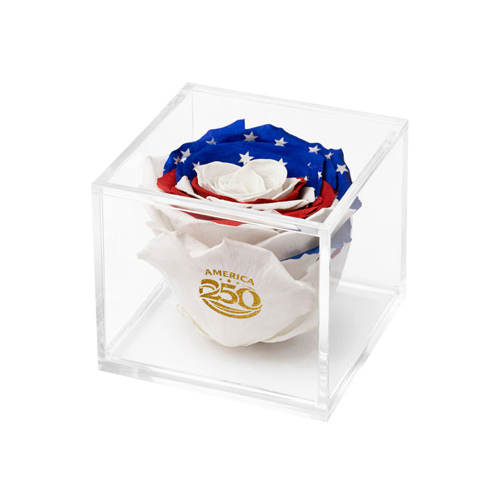 Stemless Patriotic Preserved Rose