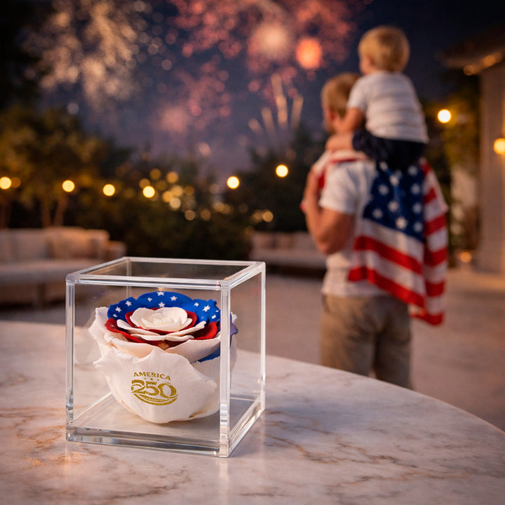 Stemless Patriotic Preserved Rose