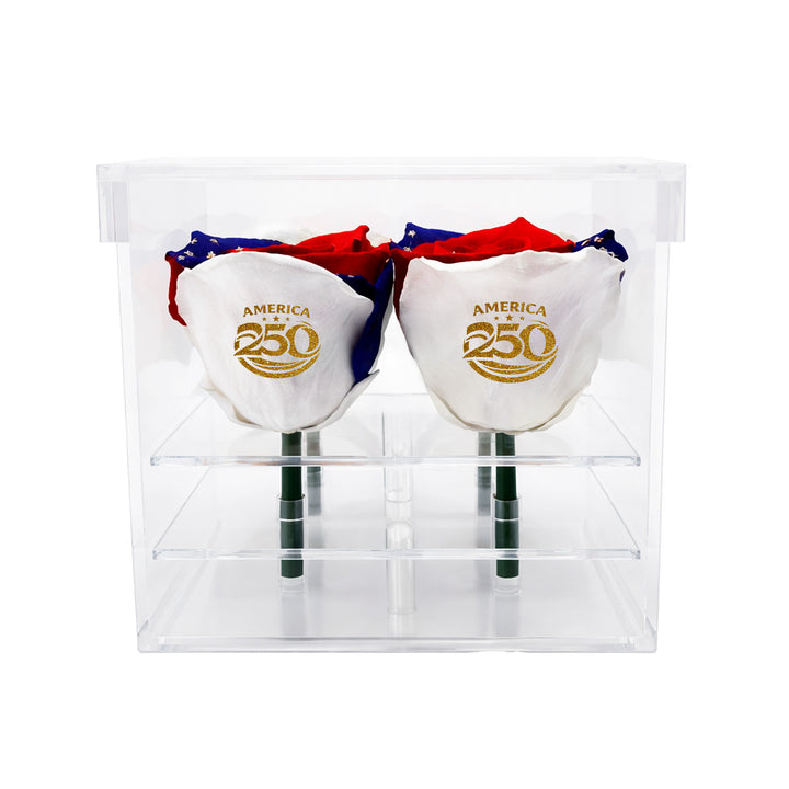 Patriotic Preserved Roses (4 Stems)