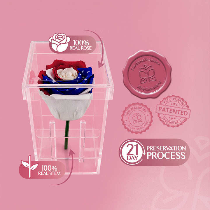 Single Stem Patriotic Preserved Rose