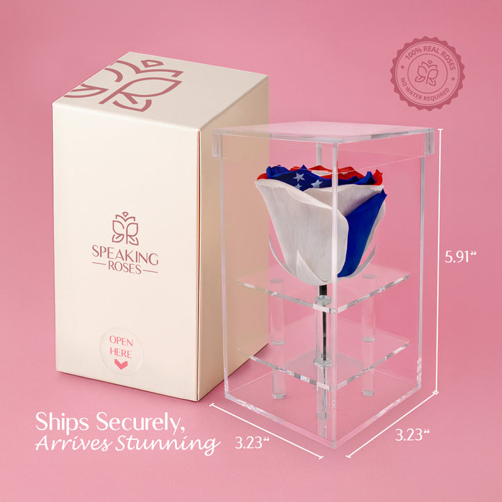 Single Stem Patriotic Preserved Rose
