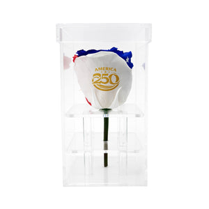 Single Stem Patriotic Preserved Rose