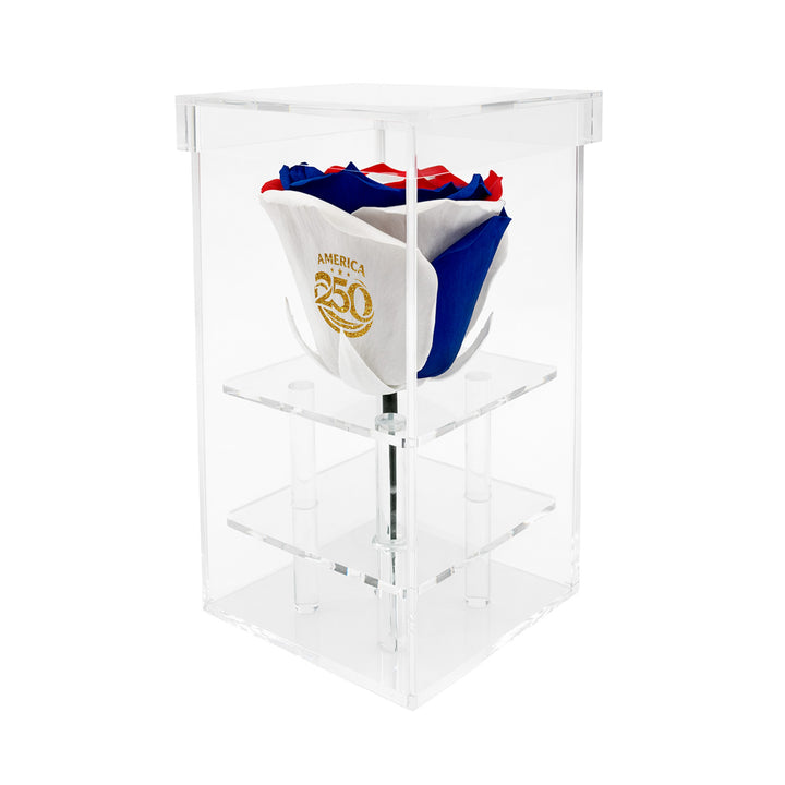 Single Stem Patriotic Preserved Rose