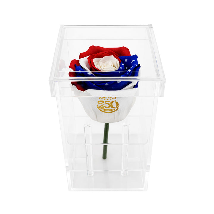 Single Stem Patriotic Preserved Rose