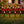 Holiday Infinity Light Lawn Stakes (Set of 4)