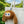 Talking AI Portable Plush
