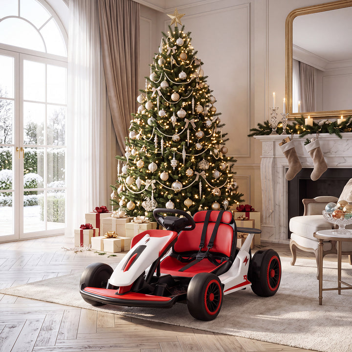 Electric Go-Kart