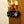 Spy Safehouse Security Kit