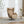 Zero Gravity Full Body Massage and Heat Chair