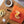 QuickCharge Smart Meat Thermometer