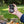 300-Ft. Wireless Meat Thermometer