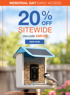 Memorial Day Early Access 20% off with code EARL20. Video Camera Bird Feeder with bird in spring setting.