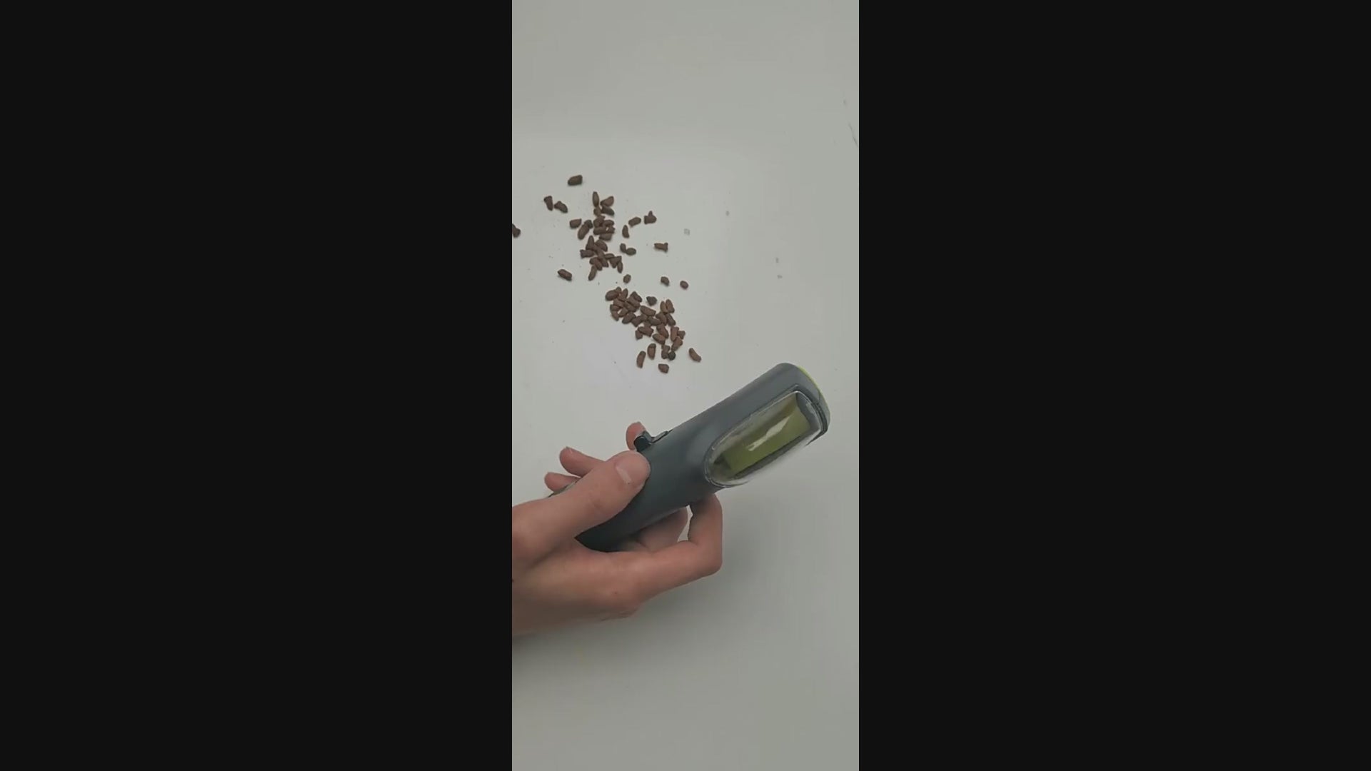 Pet Treat Launcher Toy