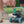 RC Dart Blaster Car