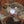 Focused Beam Natural Light Floor Lamp